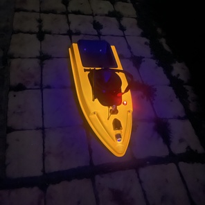 Флуоресцентный окрас